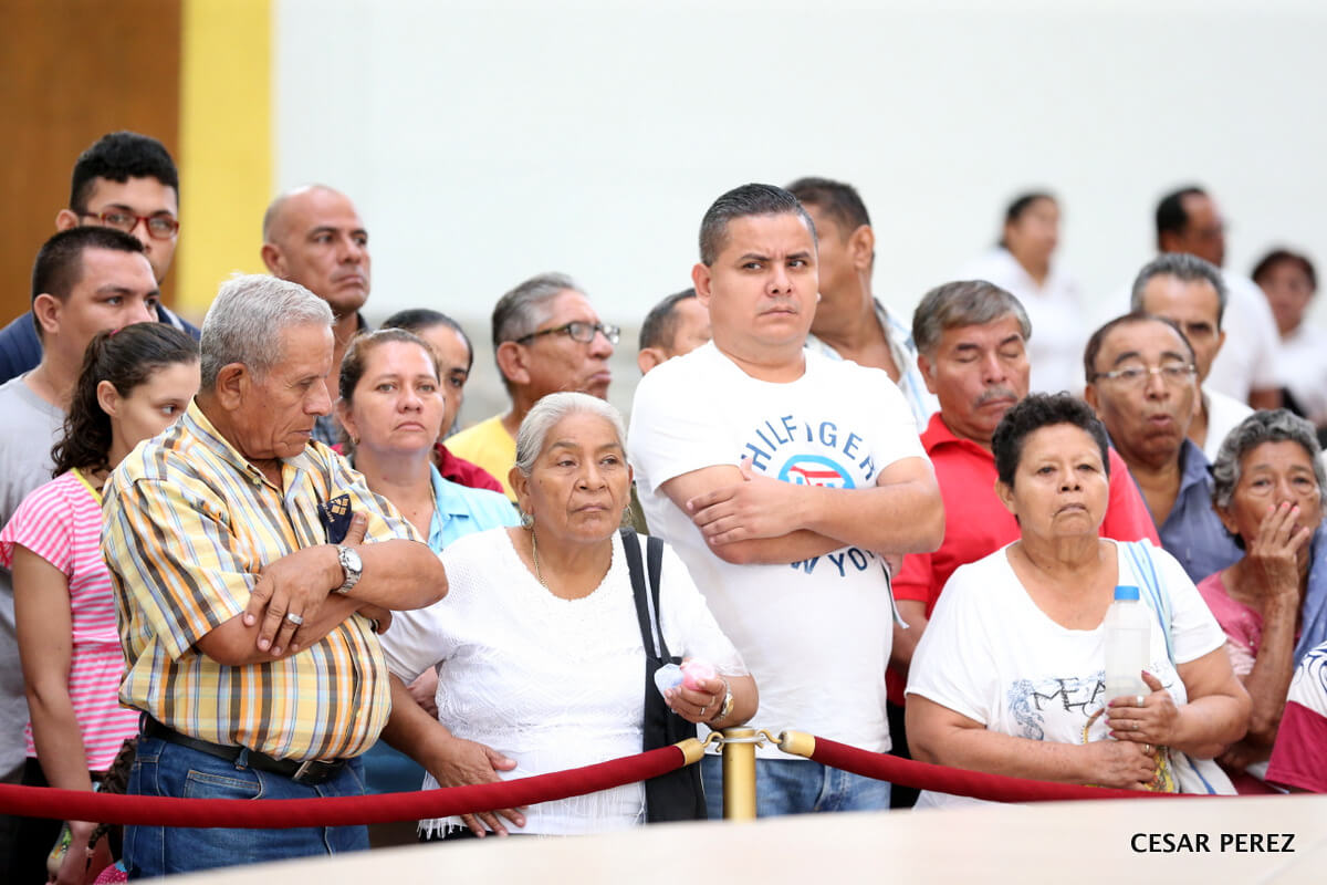 Brenes1
